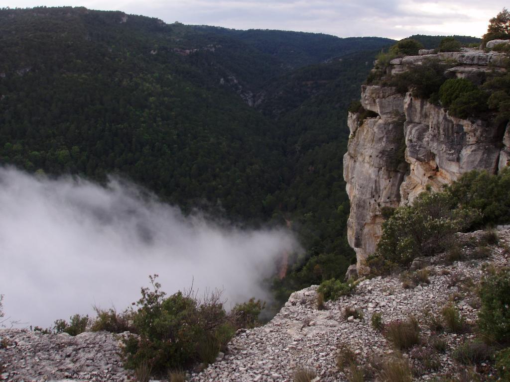 Affittacamere Mas De L'Arlequi Rojals Esterno foto
