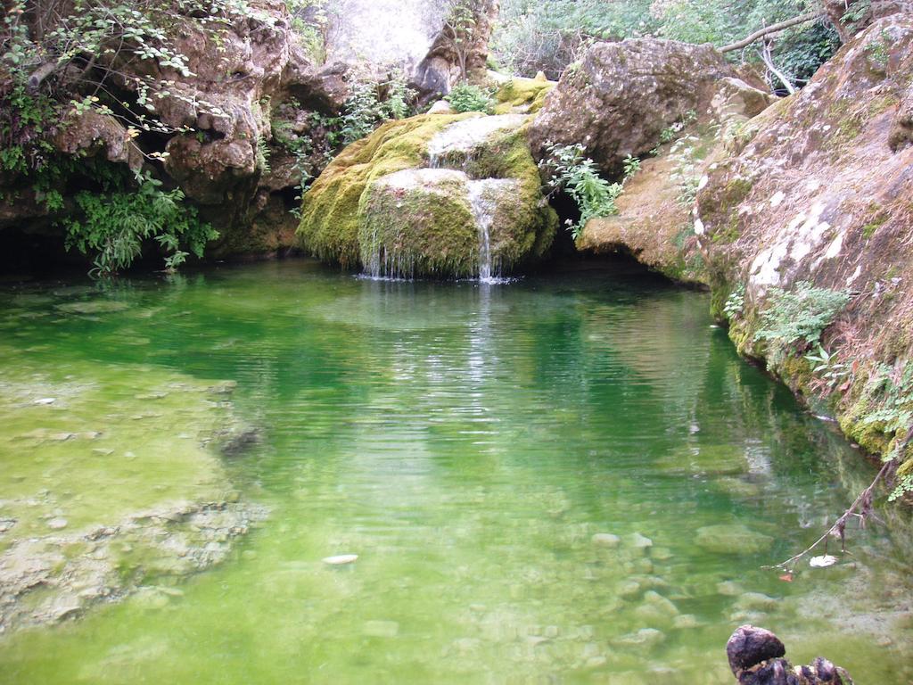 Affittacamere Mas De L'Arlequi Rojals Esterno foto